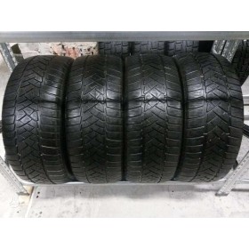 Dunlop Sp Winter Sport, , Žieminės
