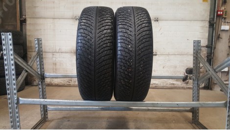Michelin PILOT ALPIN 5 SUV apie 9mm 