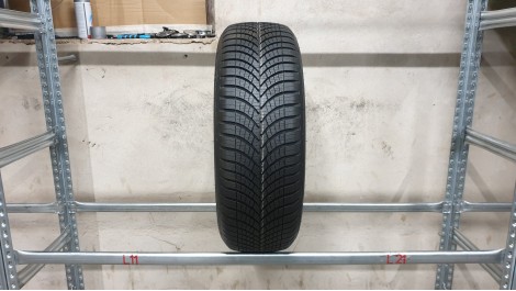 Goodyear Vector 4 Seasons NAUJA , Universalios