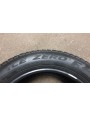 Pirelli Ice Zero TM FR apie 7mm , Žieminės