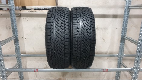 Kinforest Snowleopard 2 NAUJOS , Žieminės