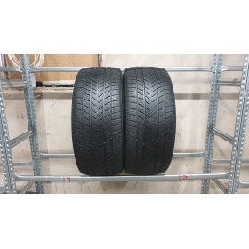 Gripmax SureGripProWinter 6mm , Žieminės<span>285/40 R22</span>