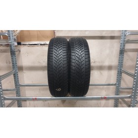 Goodyear Ultra Grip Performance , Žieminės