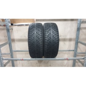 Nokian Hakkapeliitta R2 , Žieminės<span>225/55 R17</span>