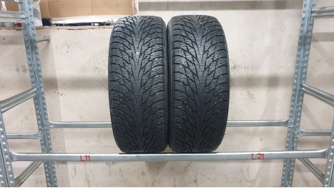 Nokian Hakkapeliitta R2 , Žieminės