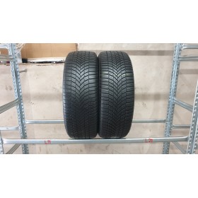 Bridgestone WeatherControl A005 Evo , Universalios<span>225/55 R19</span> Bridgestone WeatherControl A005 Evo , Universalios<span>225/55 R19</span>